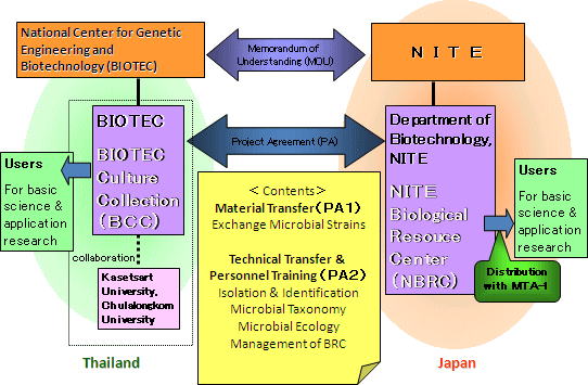 Figure BRCs Cooperation Projects with Thailand