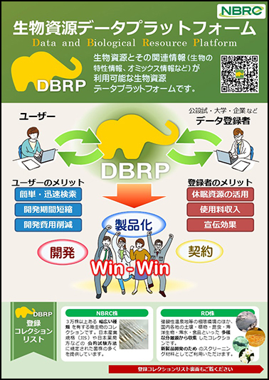 DBRPチラシの画像です