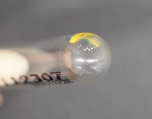 メルマガ96号_記事5_画像1