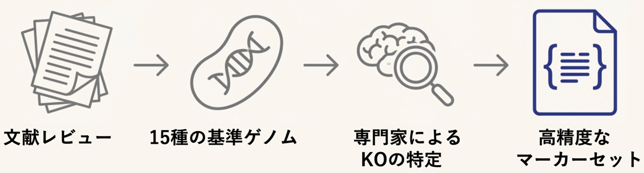 ①文献レビュー②15種の基準ゲノム③専門家によるKOの特定④高精度なマーカーセットという順番で定義されることを図示