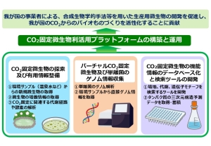 「CO2固定微生物利活用プラットフォーム」を構築するための３つの要素「CO2固定微生物の探索及び有用情報の整備」、「バーチャルCO2固定微生物及び単離菌のゲノム情報収集」、「CO2固定微生物の機能情報のデータベース化と詮索ツールの開発」を示し、目標となる、「我が国の事業者による、合成生物学的手法等を用いた生産用微生物の開発を促進し、我が国のCO2からのバイオものづくりを活性化することに貢献」への道筋を示した図。（クリックすると大きな画像が表示されます）